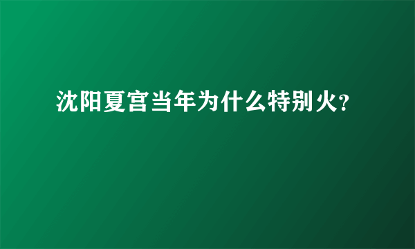 沈阳夏宫当年为什么特别火？