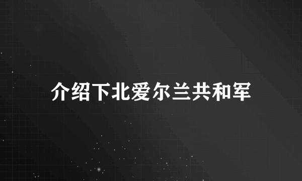 介绍下北爱尔兰共和军