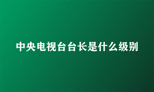 中央电视台台长是什么级别