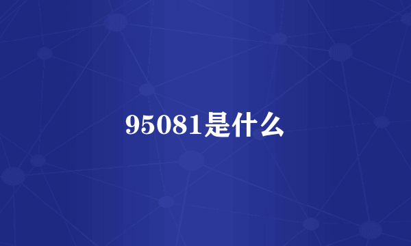 95081是什么