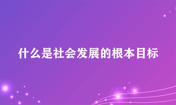 什么是社会发展的根本目标