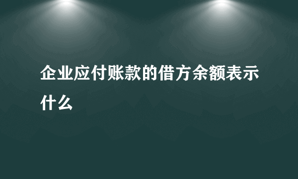 企业应付账款的借方余额表示什么