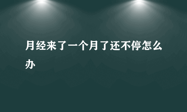 月经来了一个月了还不停怎么办