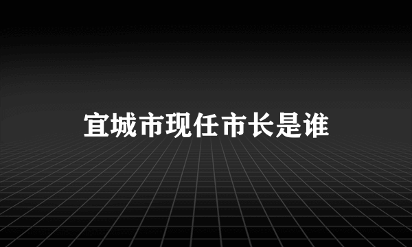 宜城市现任市长是谁