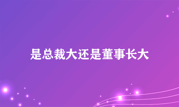 是总裁大还是董事长大