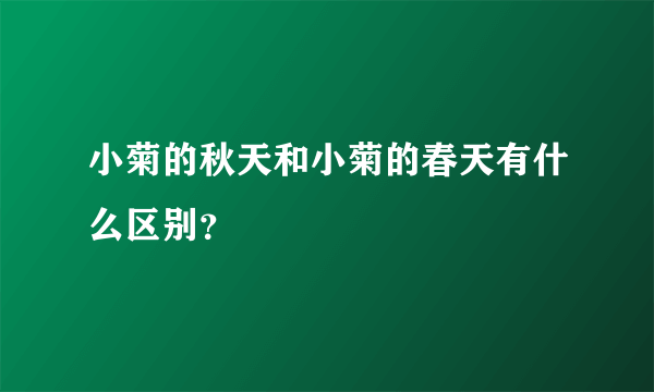 小菊的秋天和小菊的春天有什么区别？