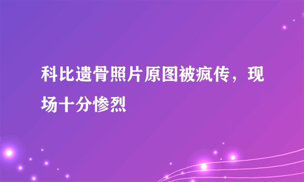 科比遗骨照片原图被疯传，现场十分惨烈