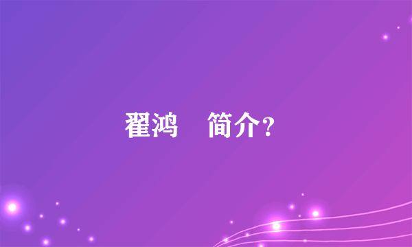 翟鸿燊简介？