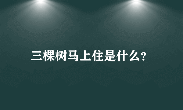 三棵树马上住是什么？