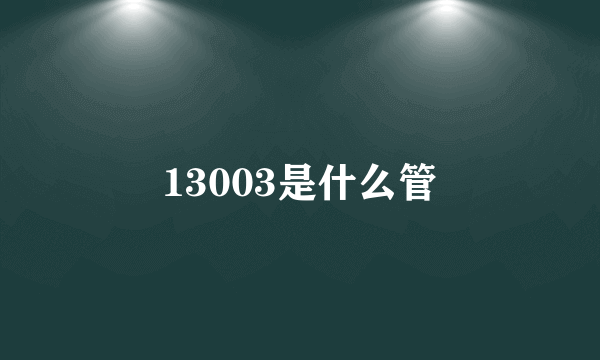 13003是什么管