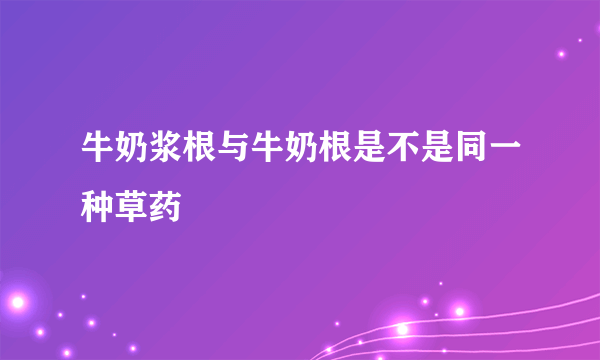 牛奶浆根与牛奶根是不是同一种草药