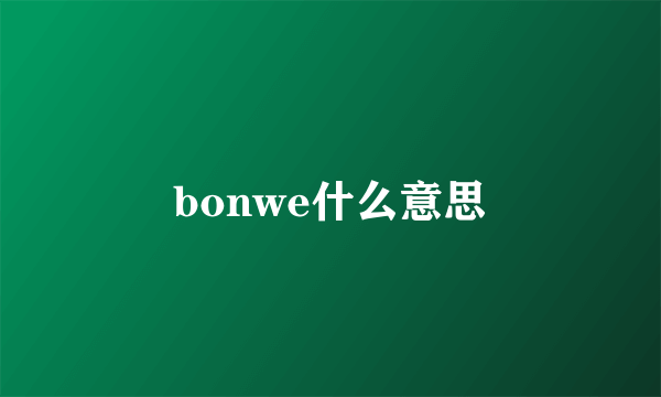 bonwe什么意思