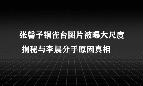 张馨予铜雀台图片被曝大尺度 揭秘与李晨分手原因真相