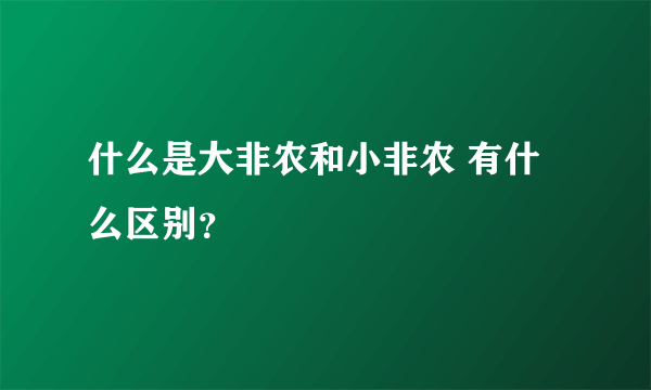 什么是大非农和小非农 有什么区别？