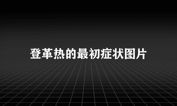 登革热的最初症状图片