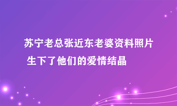 苏宁老总张近东老婆资料照片 生下了他们的爱情结晶