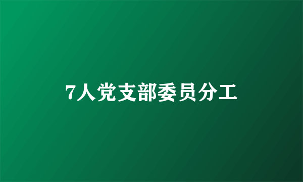 7人党支部委员分工