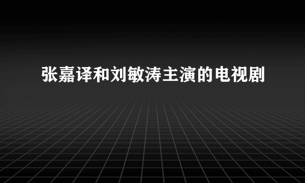 张嘉译和刘敏涛主演的电视剧