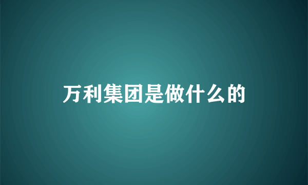 万利集团是做什么的