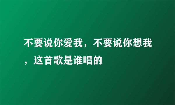 不要说你爱我，不要说你想我，这首歌是谁唱的