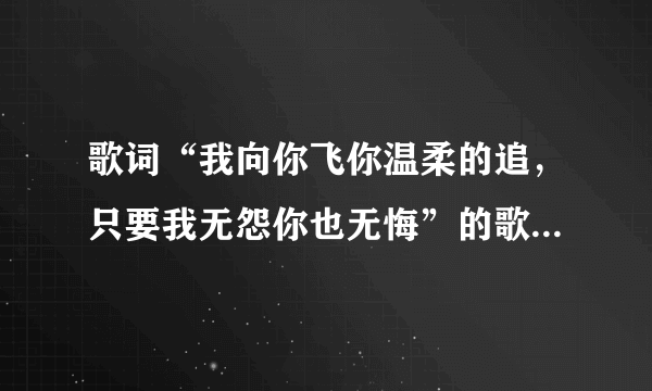 歌词“我向你飞你温柔的追，只要我无怨你也无悔”的歌名是什么？