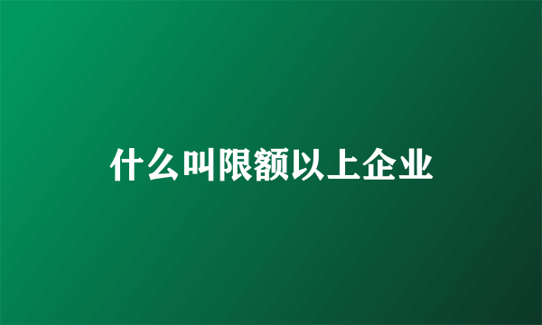 什么叫限额以上企业