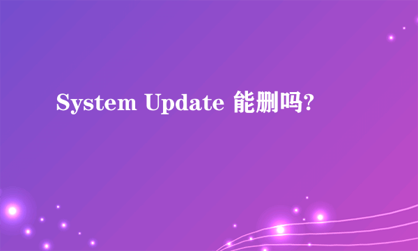 System Update 能删吗?