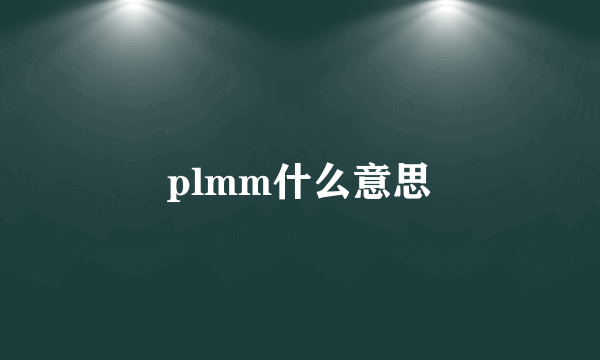 plmm什么意思