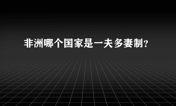 非洲哪个国家是一夫多妻制？