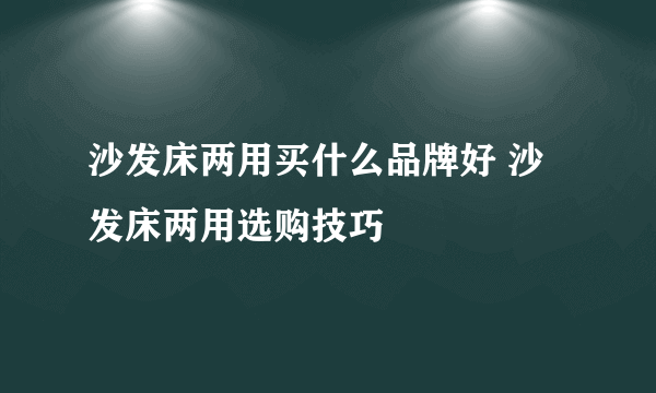 沙发床两用买什么品牌好 沙发床两用选购技巧