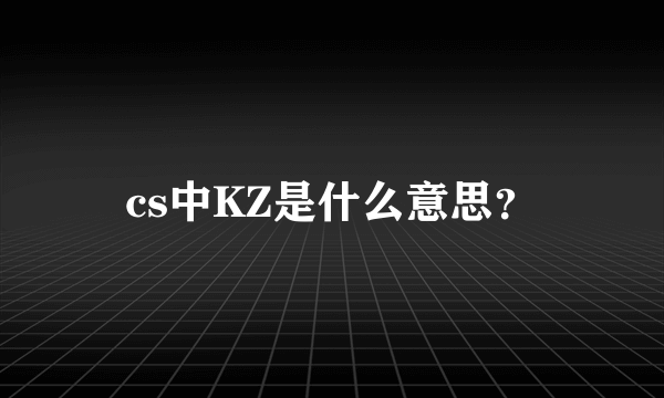 cs中KZ是什么意思？