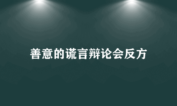 善意的谎言辩论会反方