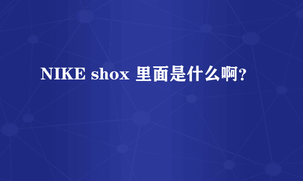 NIKE shox 里面是什么啊？