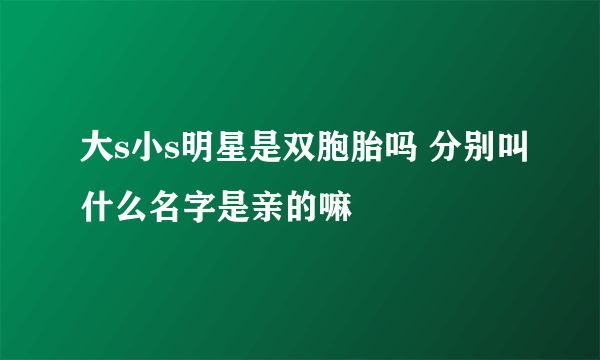 大s小s明星是双胞胎吗 分别叫什么名字是亲的嘛