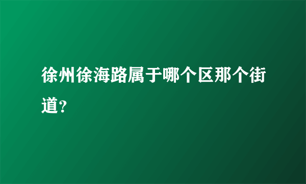 徐州徐海路属于哪个区那个街道？