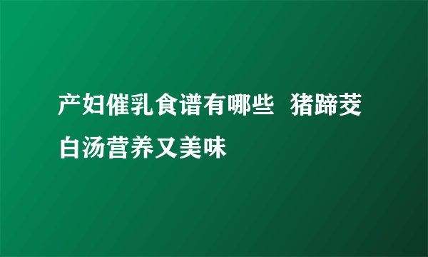 产妇催乳食谱有哪些  猪蹄茭白汤营养又美味