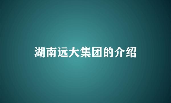 湖南远大集团的介绍