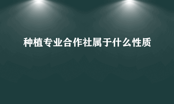 种植专业合作社属于什么性质