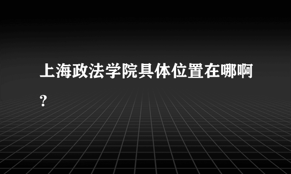 上海政法学院具体位置在哪啊？