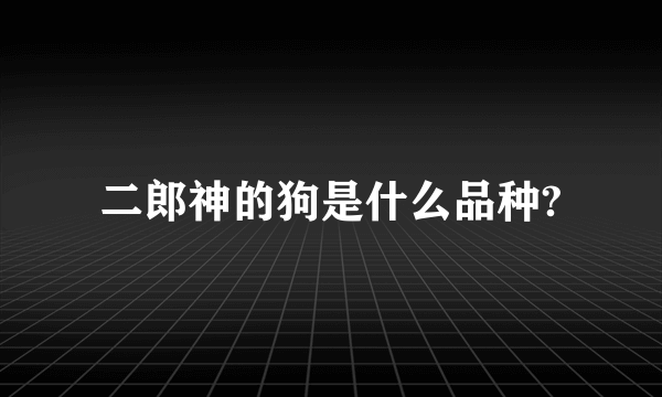 二郎神的狗是什么品种?