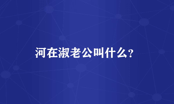 河在淑老公叫什么？