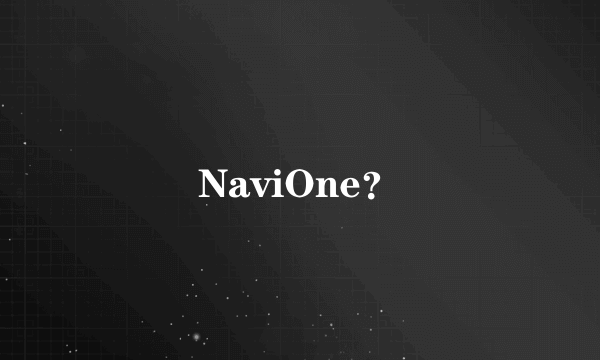 NaviOne？