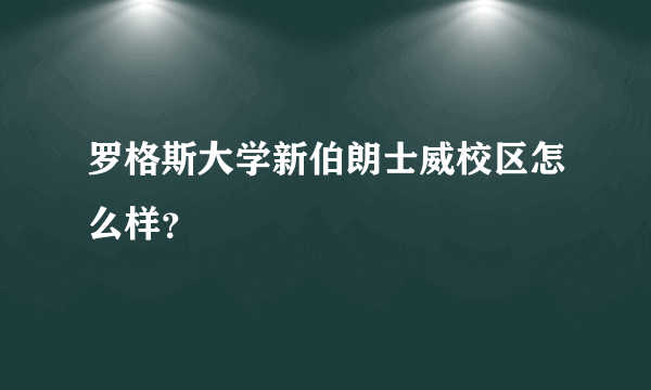 罗格斯大学新伯朗士威校区怎么样？