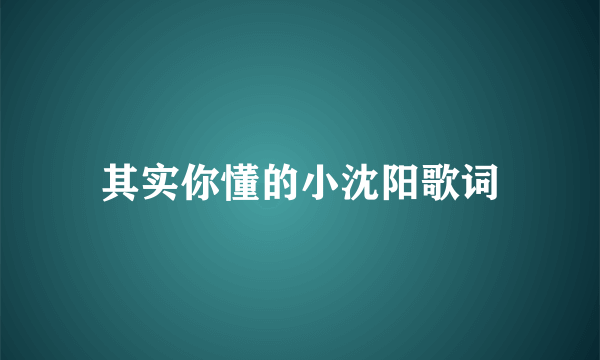 其实你懂的小沈阳歌词