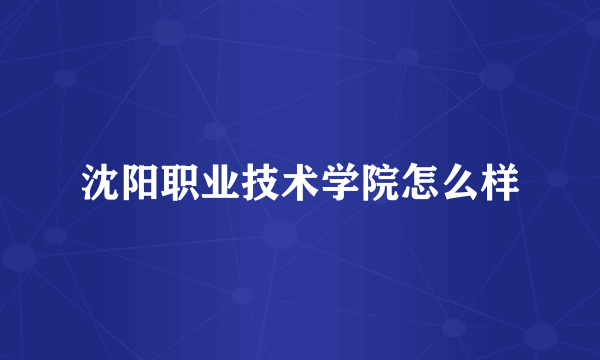 沈阳职业技术学院怎么样