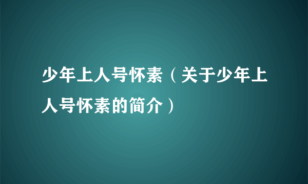 少年上人号怀素（关于少年上人号怀素的简介）