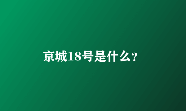 京城18号是什么？