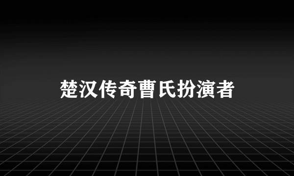 楚汉传奇曹氏扮演者