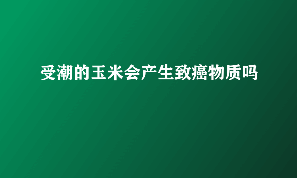 受潮的玉米会产生致癌物质吗