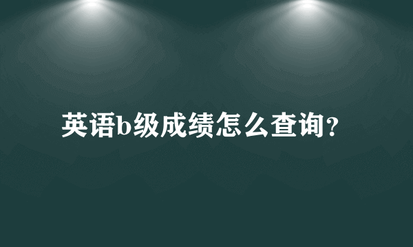 英语b级成绩怎么查询？